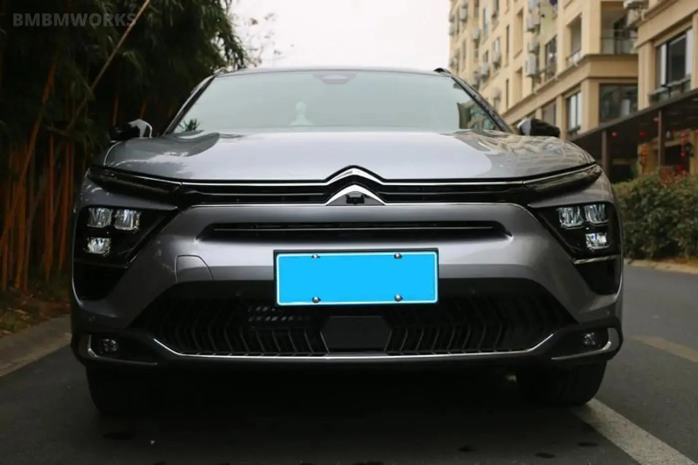 2Pcs Center Grill Fog Light Lamp Trim Decor Strip Citroen C5X 2021-2023