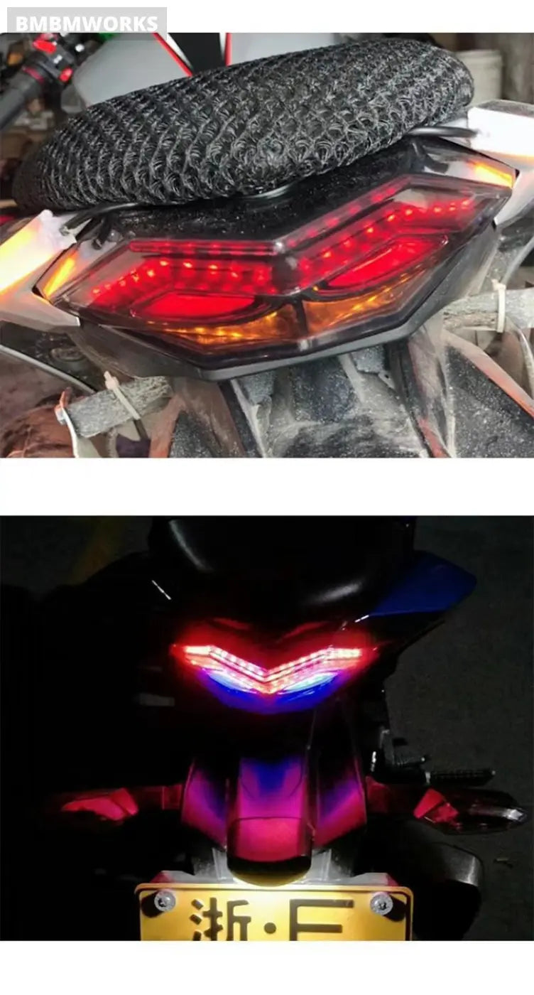 Blue Rear Taillight Tail Brake Turn Signals Kawasaki Ninja 250 300 Ex300 2013-17